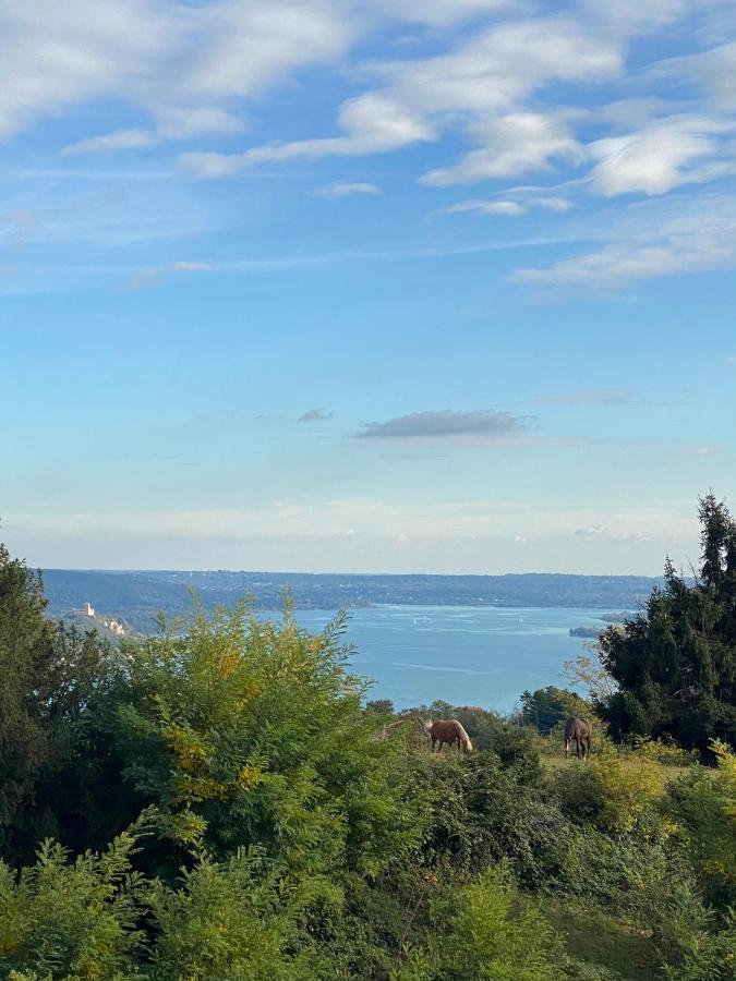 La Garconnierre Del Lago Maggiore Nebbiuno エクステリア 写真